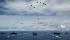 On the NATO exercises “Sea Shield-2019” in the Black Sea